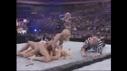 WWE Divas Lingerie