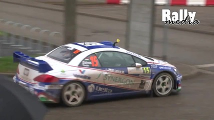 Wrc Rally France 2010 - Peugeot 307 Wrc