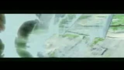 Naruto Movie 4 Amv Raw
