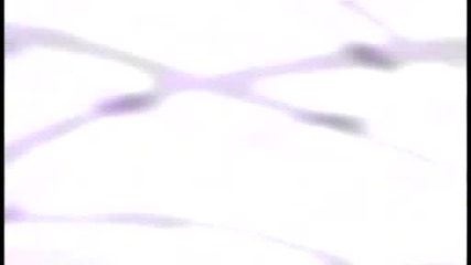 Yu-gi-oh Gx epizod 143 bg audio