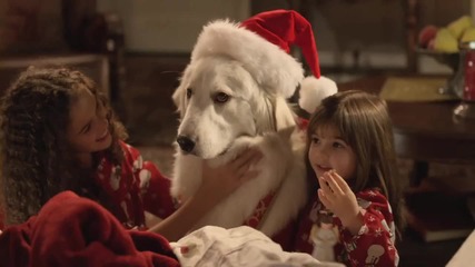 Santa Paws - Visiting on Christmas H D 