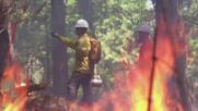 Контролираните палежи биха могли да намалят цялостното излагане на дим от горски пожари (ВИДЕО)