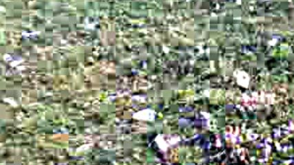 Linkin Park Beyaz Perdede 2016 Hd