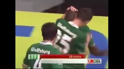 Brilqten gool 