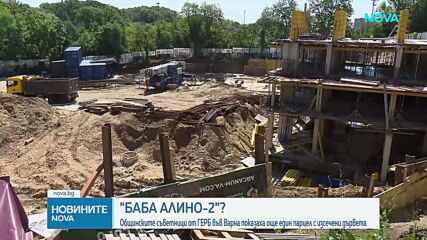 „Баба Алино 2”?: Общинските съветници от ГЕРБ във Варна показаха още един парцел с изсечени дървета