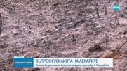 Почина възрастната жена, пострадала при пожар в Свищовско