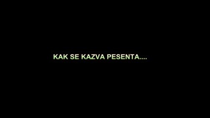 Kak se kazva pesenta ???