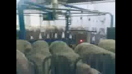 Как Се Правят Пари В Испания.3gp