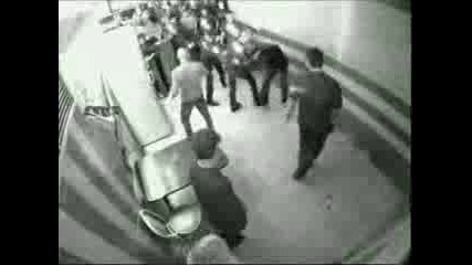 Моссковска Скатина ( fight ) 