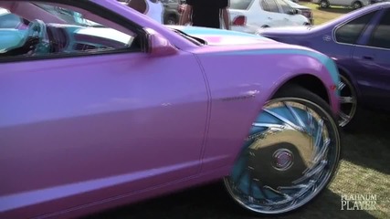 Camaro Rollin 30 Inches