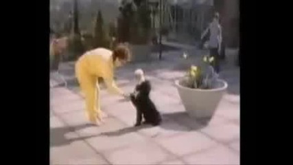 Смешни животни и хора
