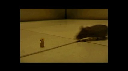 Super Killer Mouse (hq) 