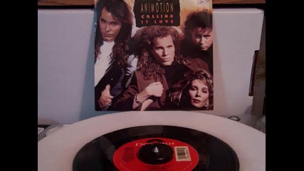 Animotion - Calling It Love 1989 