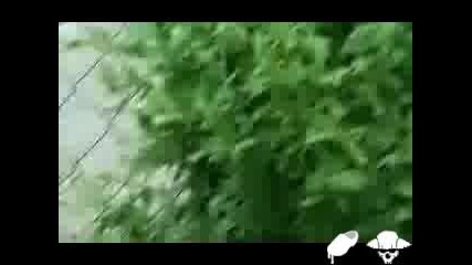 Загоряло Куче И Девствена Патица = На Смях