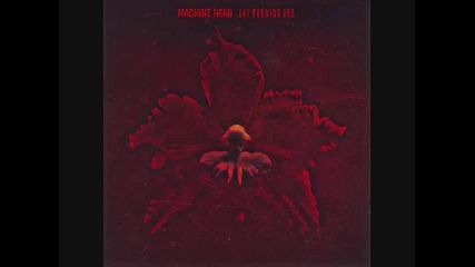 Machine Head - Silver