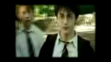 Hermione, Harry, Draco - Apologize