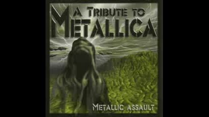 Metalic Assault - Sad But True ( Metallica Cover )