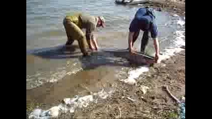 Измерване На Сомче-170см.