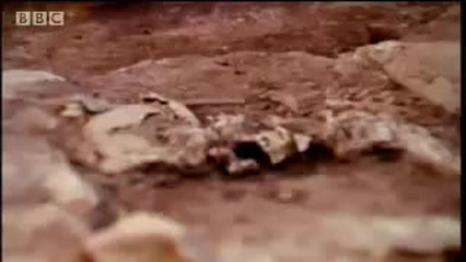 Earthquake threat to Istanbul - Bbc science 