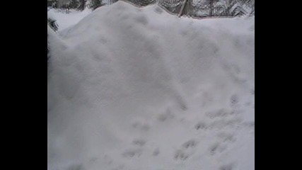 Хотанца 19.1.2010 г.