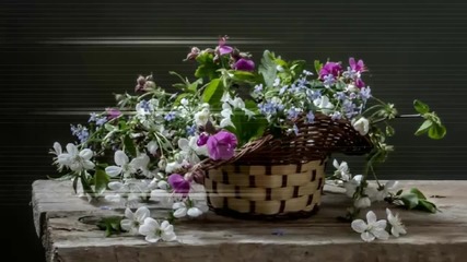 ✿ Flowers baskets ... ...✿