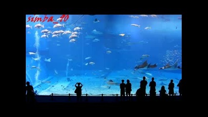 Най-красивото нещо което сте виждали