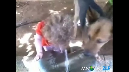 Куче и дете на водопой 