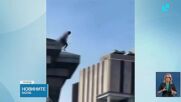 Гол мъж скочи от Бруклинския мост в Ню Йорк