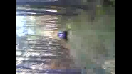 Super Man2.mp4