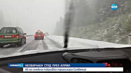 Сняг парализира Словения