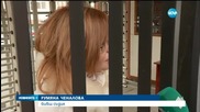 Една година условно за Владимира Янева