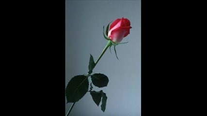 Ceylan - Sev (aksam) 2007 Kгјrtce.flv