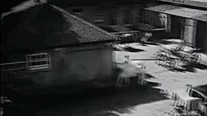 Картата ( The card 1952 )