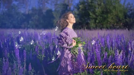 ✿ lavender Dreams ... ... ( Andre Rieu - music) ... ...✿