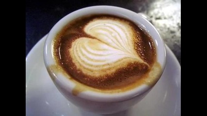 noha - tu cafe