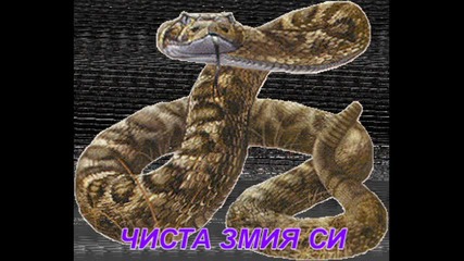 змия и нинджа