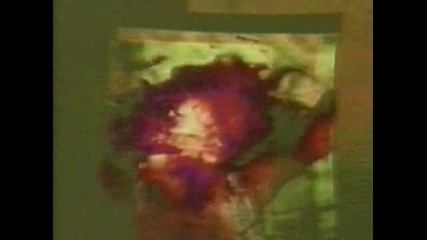 God Dethroned - Under The Golden Wings