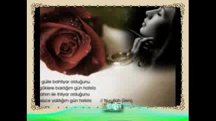 Mustafa Gungece Iste