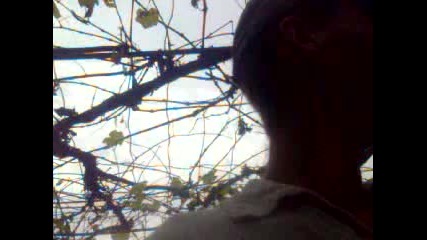 Asmalikta Gul Toplamak 2015 Hd