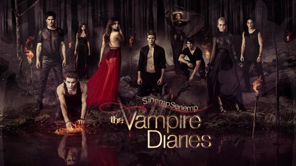 Vampire Diaries - 5x04 Music - Birdy - Without a Word