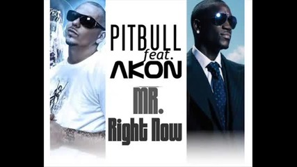 New 2011 !!! Pitbull Ft. Akon - Mr. Right Now Remix