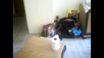 20080715111606.3gp