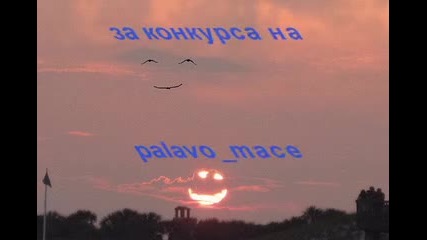 за конурсa na palavo_mace 3 кръг