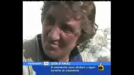 Gospodari na Efira - Gladna Bulgaria 4ak kolqme ku4eta 