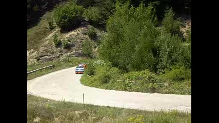 rally 11