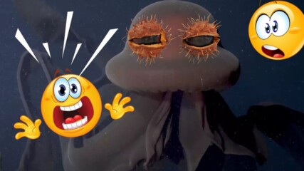 Медуза-извънземно? Вижте как изглежда това😱👽