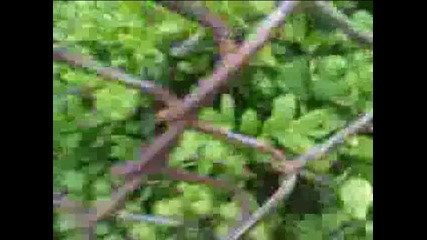 Кондьо Сезон 2 Епизод 7