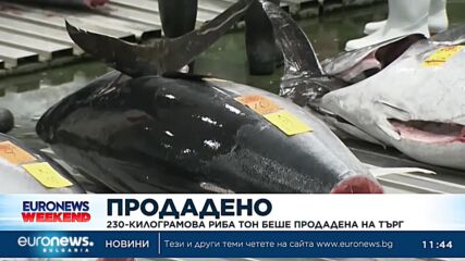 Продадоха на търг 230-килограмова риба тон за близо $800 000