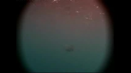Sea Monsters 6 - Hesperornis