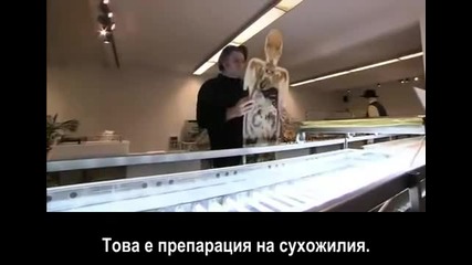 Пластмасова планета - 6/9